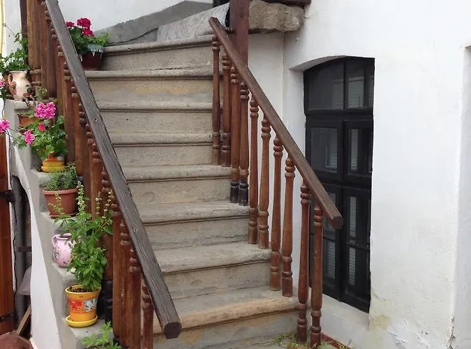 Хотел биляна