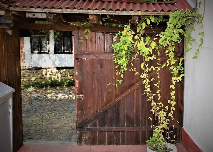 биляна Ловеч