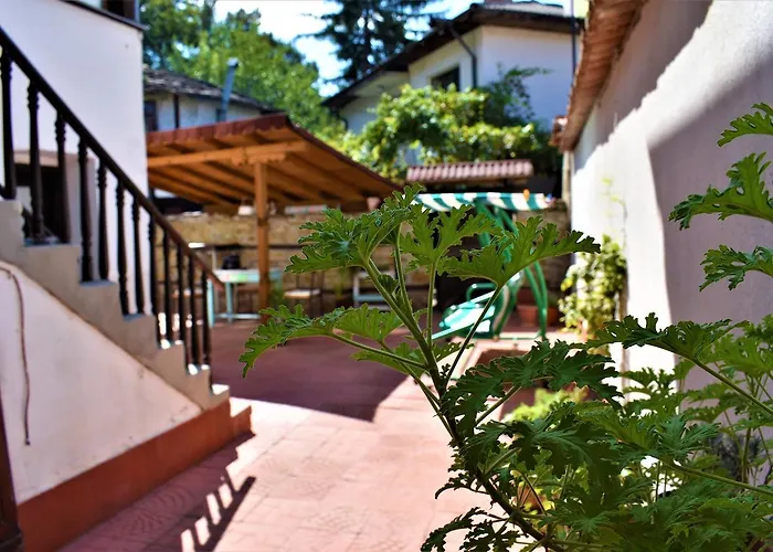 биляна Хотел